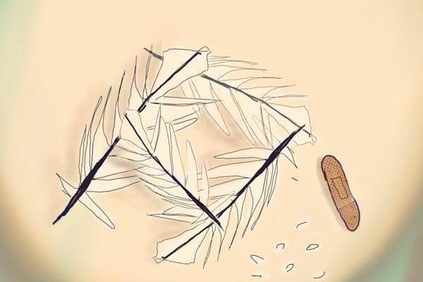 OPINION: I have a phobia by Ray A-J 