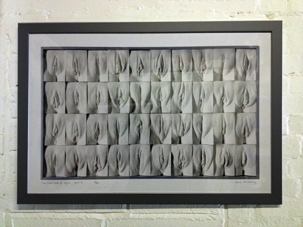 Vagina print donated to Claude Nichol Sexual Health Clinic