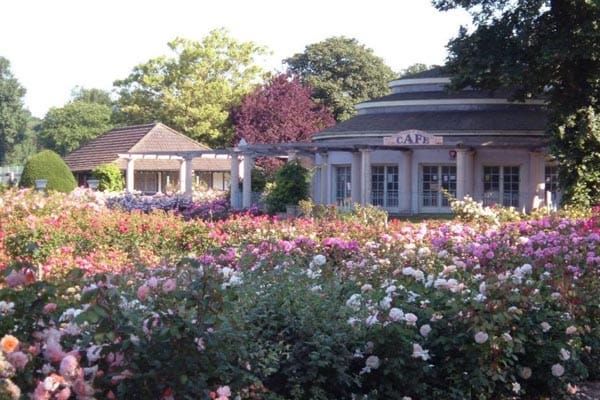 Work starts to restore Rose and Coronation Gardens