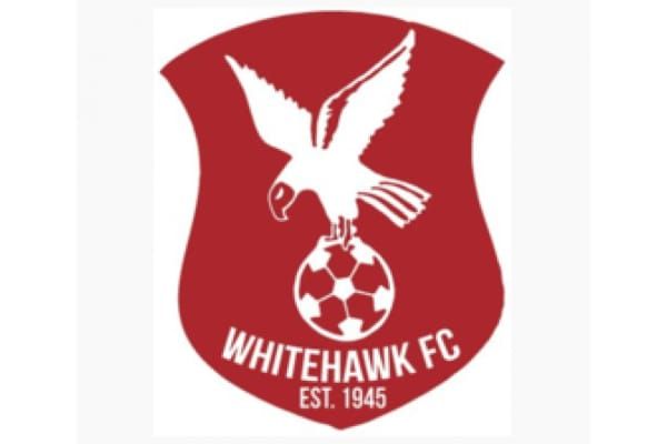 New club crest and website for Whitehawk FC