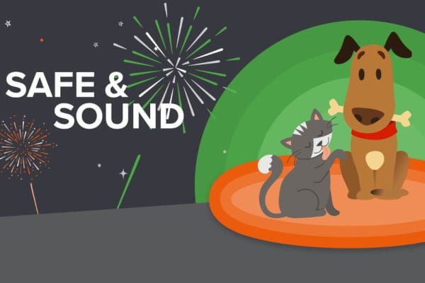 Over 7 million UK pets suffer fireworks terror