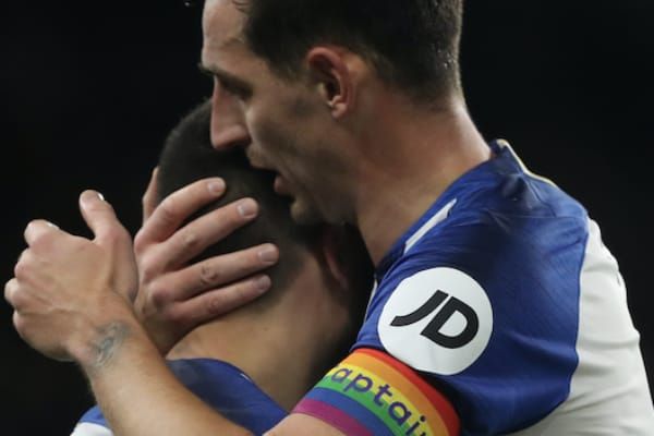 Brighton Seagulls Come Out for the LGBTQ