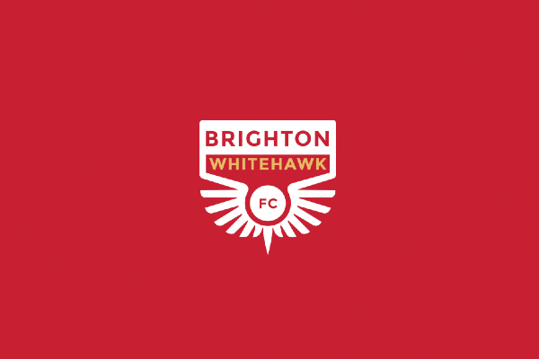 Wanna Play? The Life, Loves and Allies of Whitehawk FC with Kevin Miller