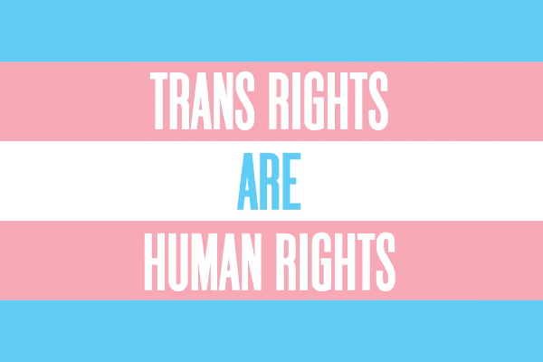 UK decline in support for trans women using single sex spaces