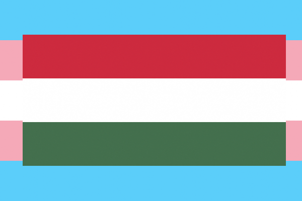 Hungarian Parliament strip trans people of right to legal gender recognition