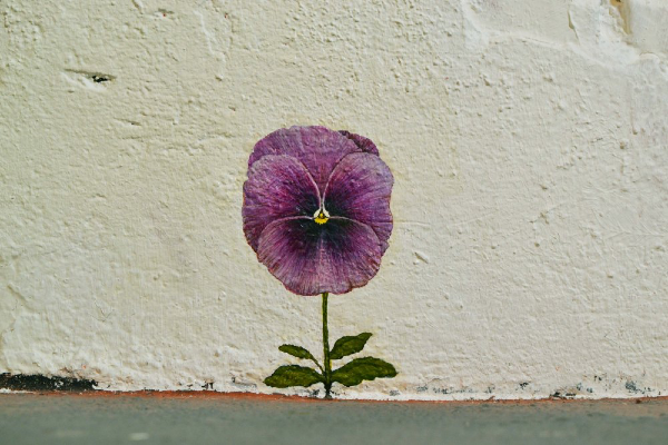 British artist Paul Harfleet takes Pansy Project to Antwerp