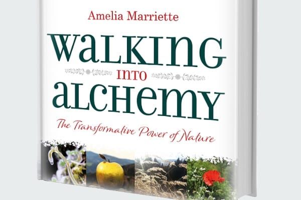 Book REVIEW: Walking into Alchemy: Amelia Marriette