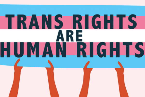 Appeal lodged against LGB Alliance’s charity status