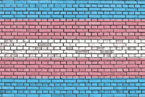 Trans equality charity welcome support for gender recognition reform in BBC Scotland poll