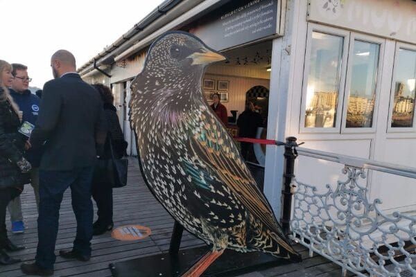 Starlings’ Roost Cafe grand opening on Brighton Pier