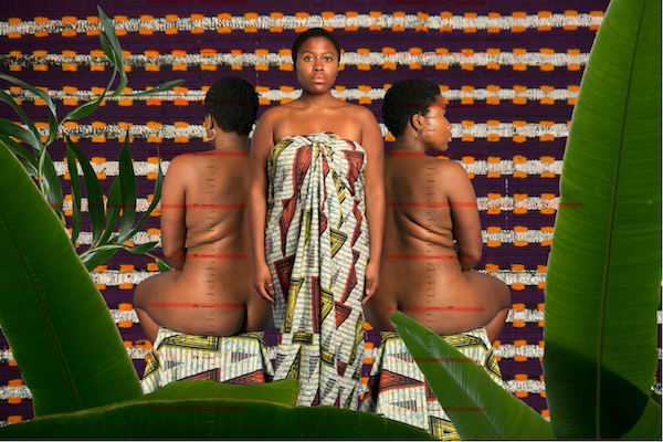 Queer/in/g Nature exhibition by Socially Engaged Art Salon at the Ledward Centre