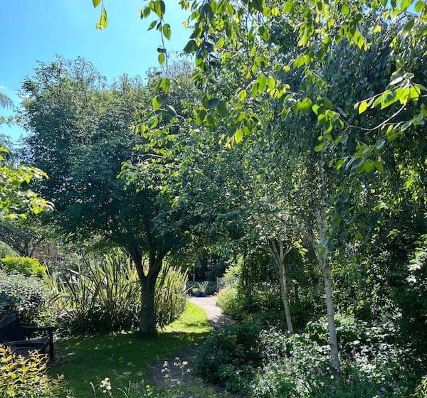 The Sussex Beacon to host Open Day with Miss Jason on Saturday, July 2