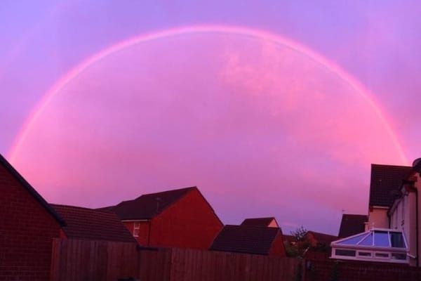 Unveiling Newton’s Bow: A Spectacular Twist in Rainbow Lore