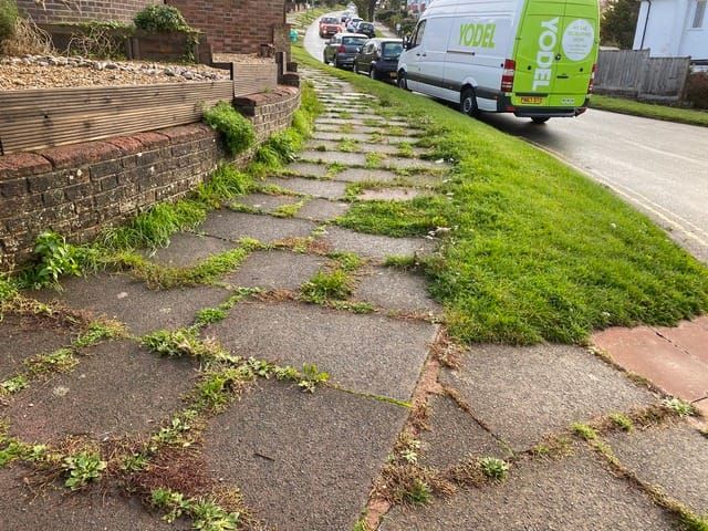 Weed growth “a big problem for the city”. Brighton & Hove City Council announces its “new approach” to tackling overgrown and dangerous weeds