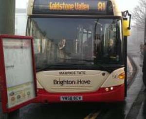 Brighton & Hove Bus 81