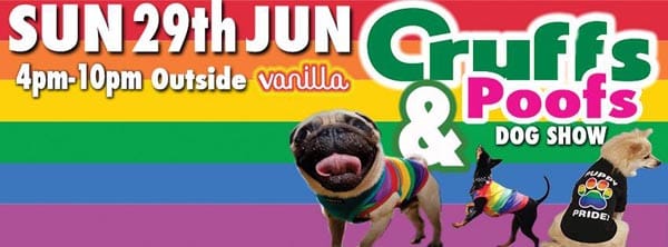 Gay Dog Show