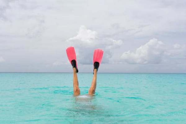 shutterstock_42983395-5