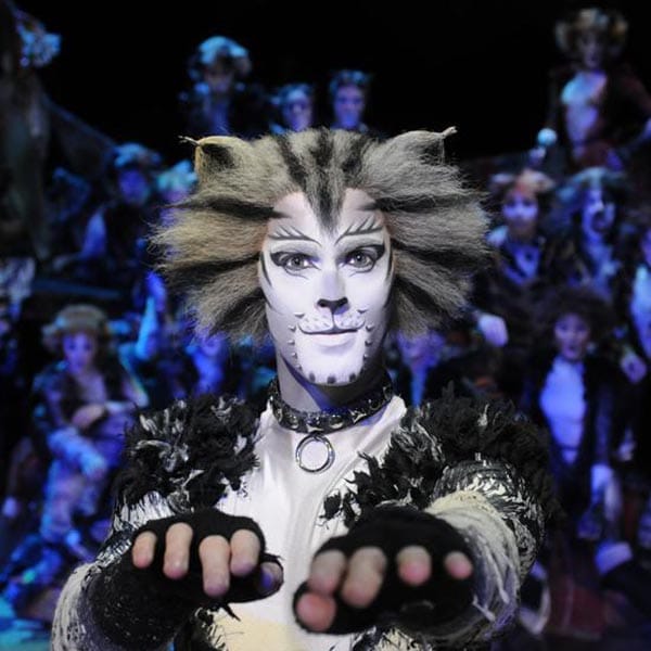 Cats: August 22–27 