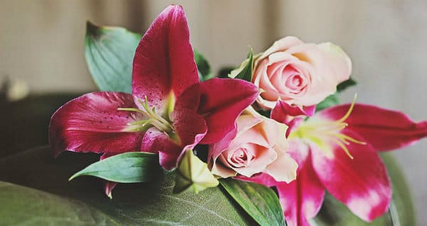 8dc5b2_6a4edeca35824604aa9e61ef213fec0b