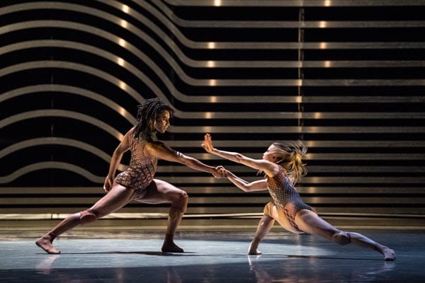 Symbiosis. Miguel Altunaga, Hannah Rudd © Stephen Wright