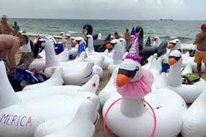 Flockfest.300.2
