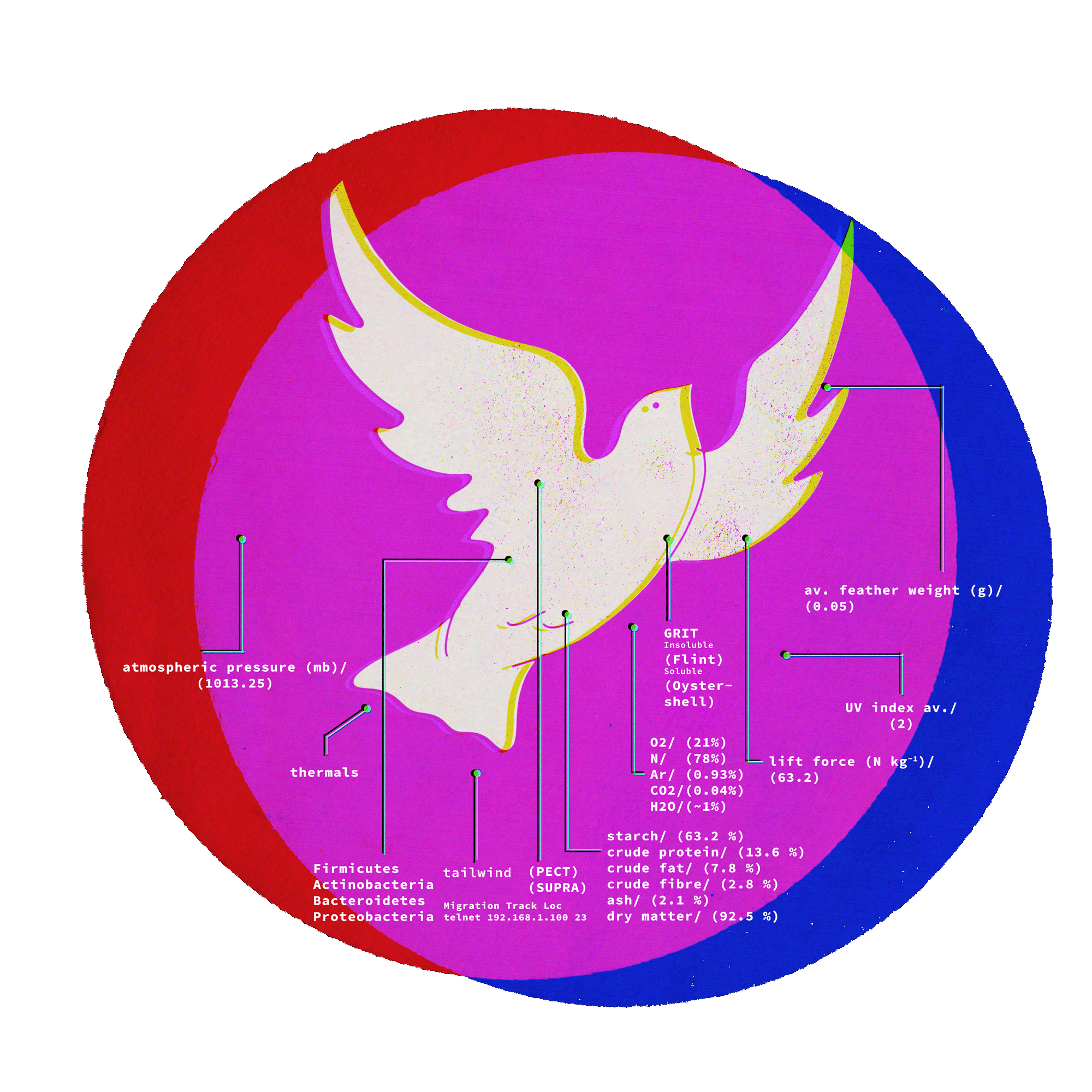 Taking liberties: confronting big tech's false freedoms