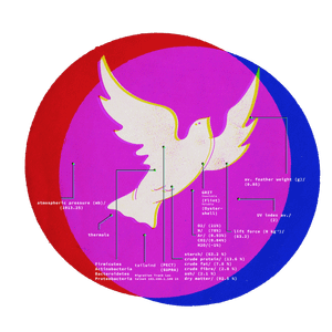 Taking liberties: confronting big tech's false freedoms