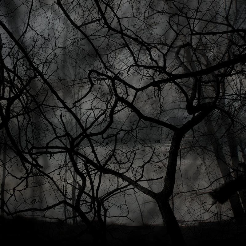 Vault of Abnormalities 