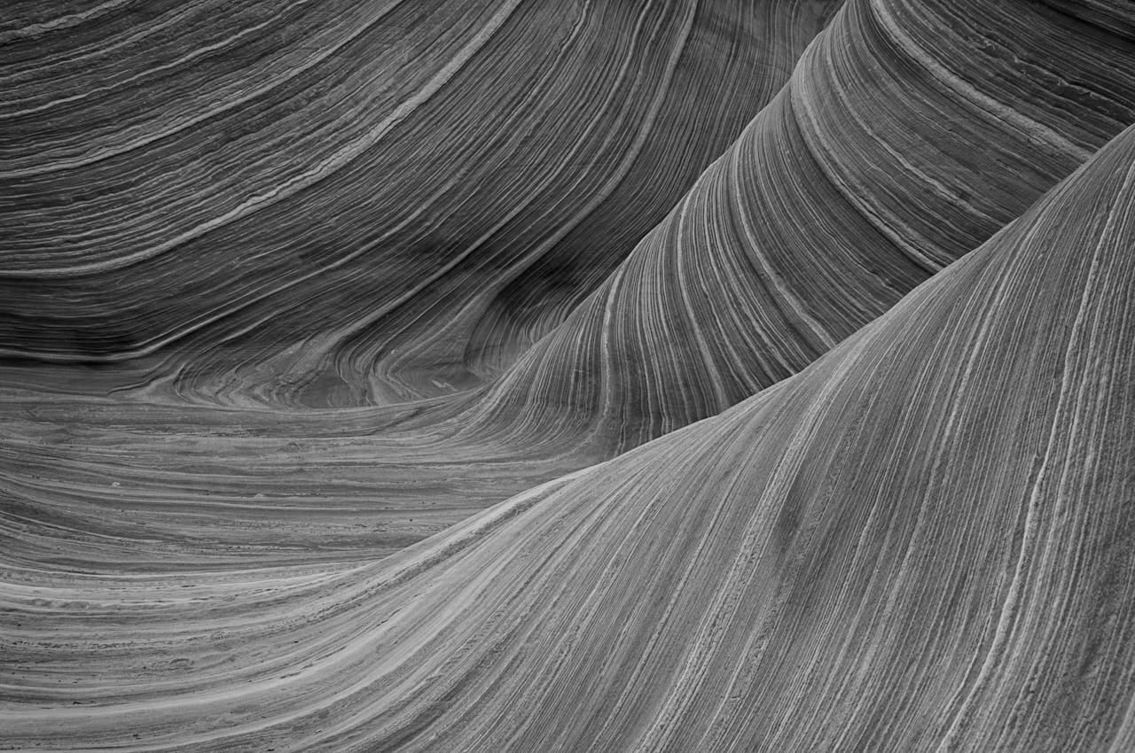 7 Key roles in an SFO