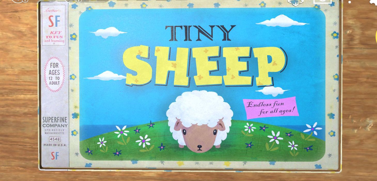 A Tiny Sheep and Big Beginnings