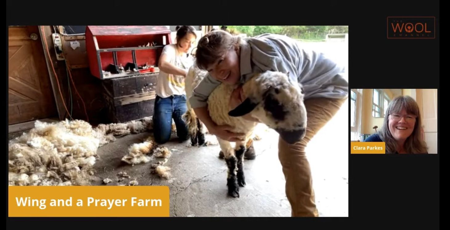 Jubilee Got a Haircut: Members-Only Live-Shearing at Wing and a Prayer Farm