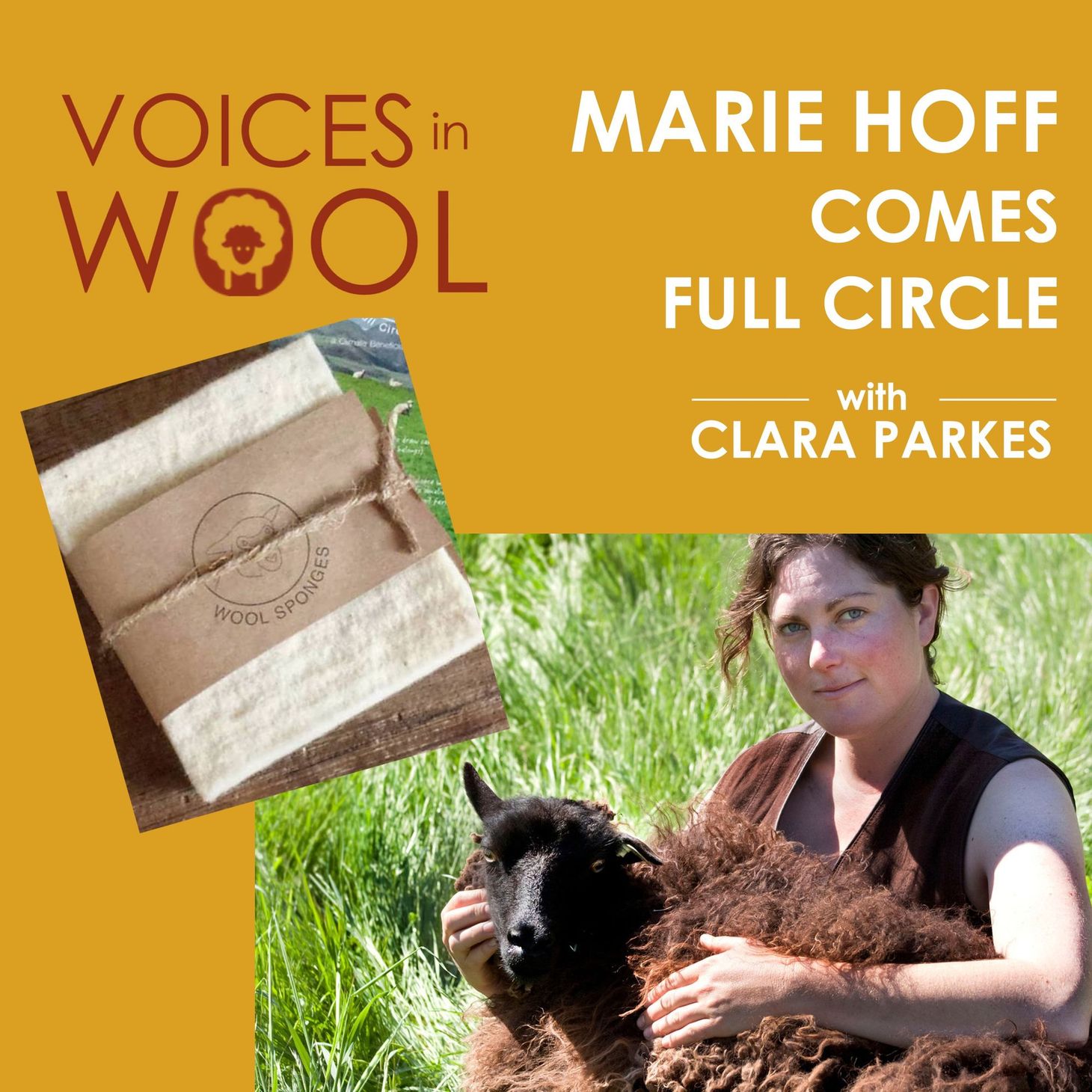 Voices in Wool: How Marie Hoff is Helping Heal the Planet One Wool Sponge at a Time