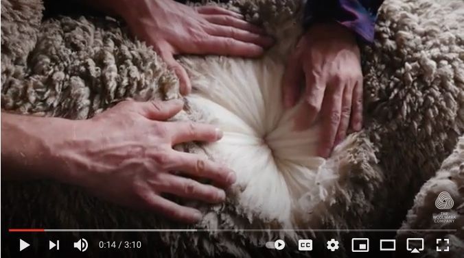 From Sheep to Sweater in Three Minutes