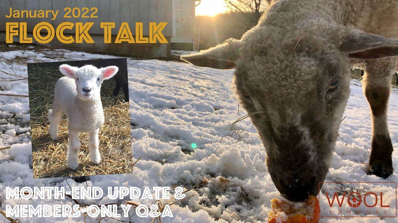 January Flock Talk
