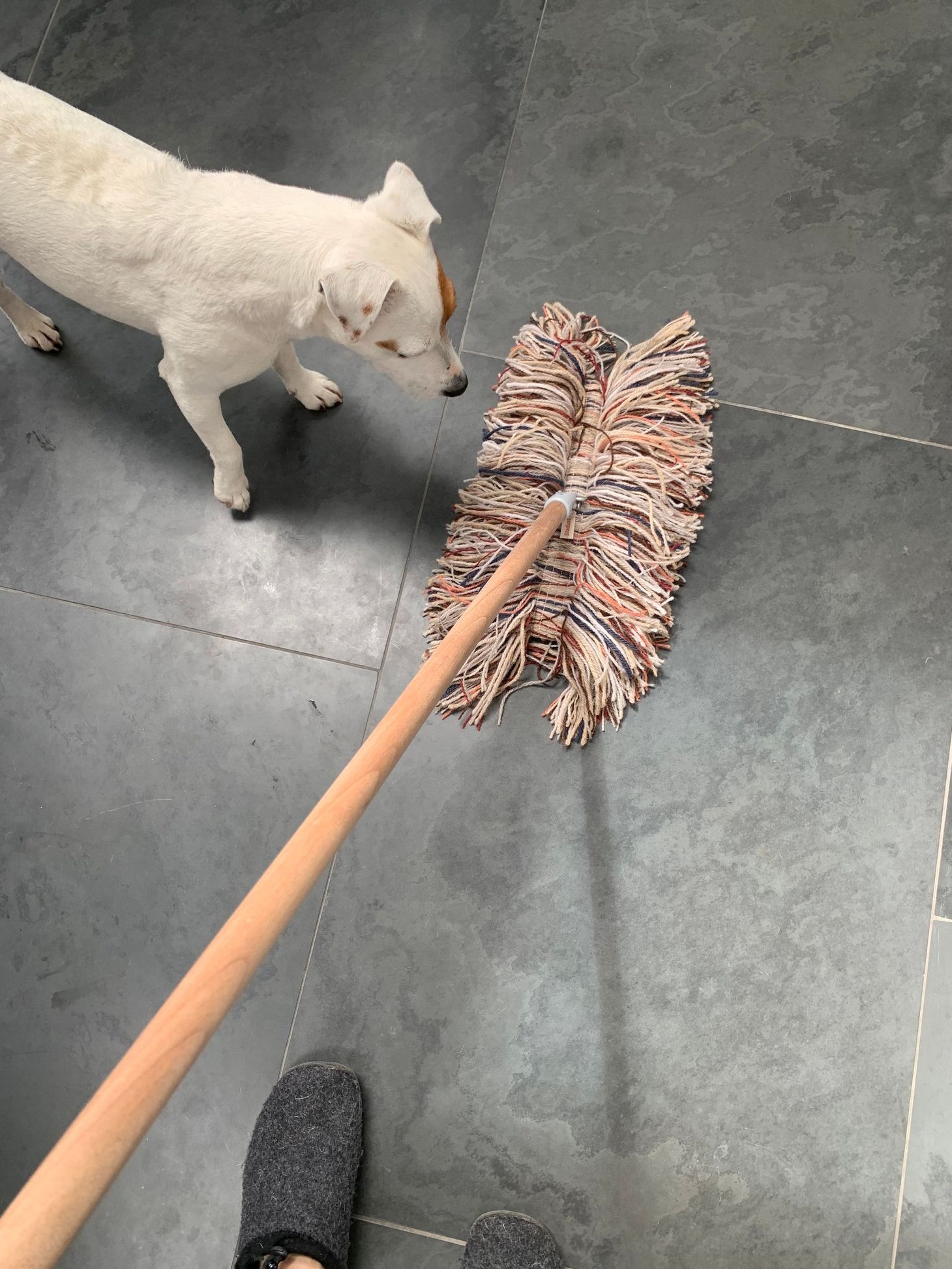 Walking the Floor Over Ewe: Wool Dust Mops