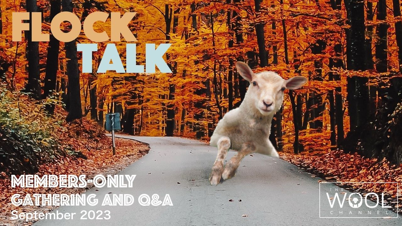 Flock Talk in One Hour!