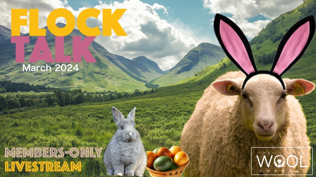 Flock Talk in One Hour!