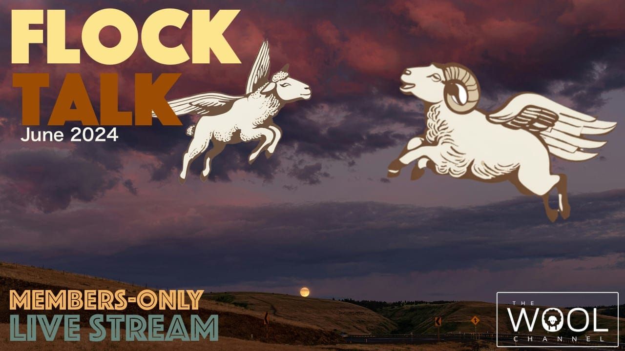 Flock Talk starts in one hour!