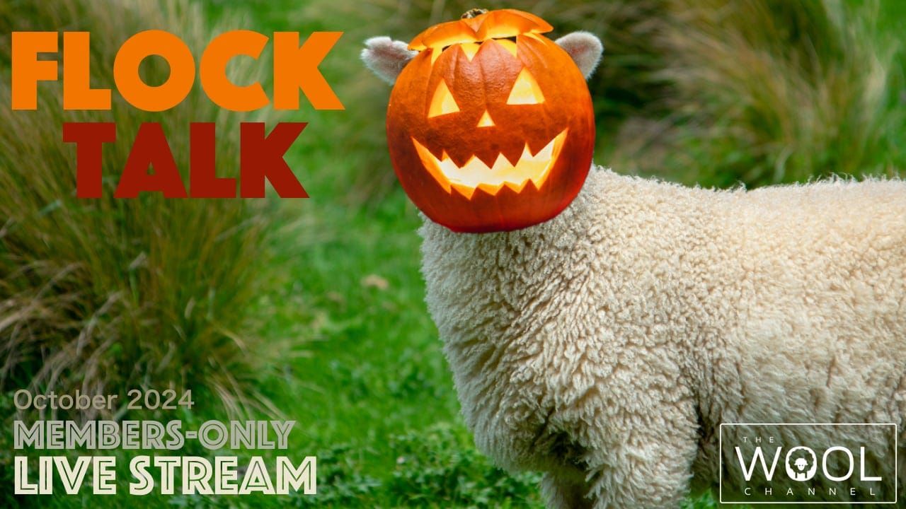 Flock Talk in One Hour!