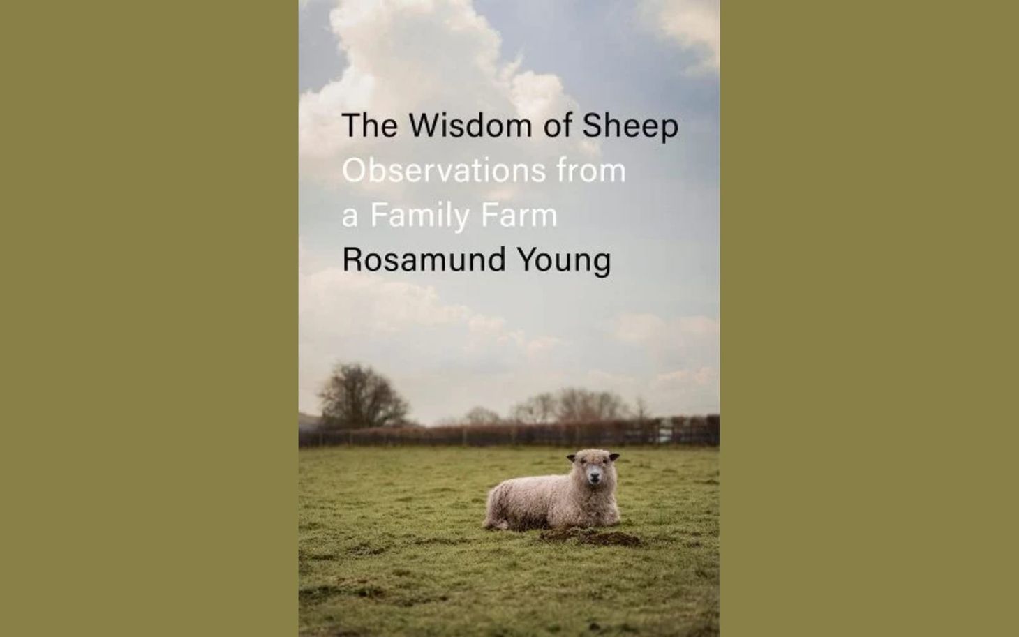 Our Next Book Group!