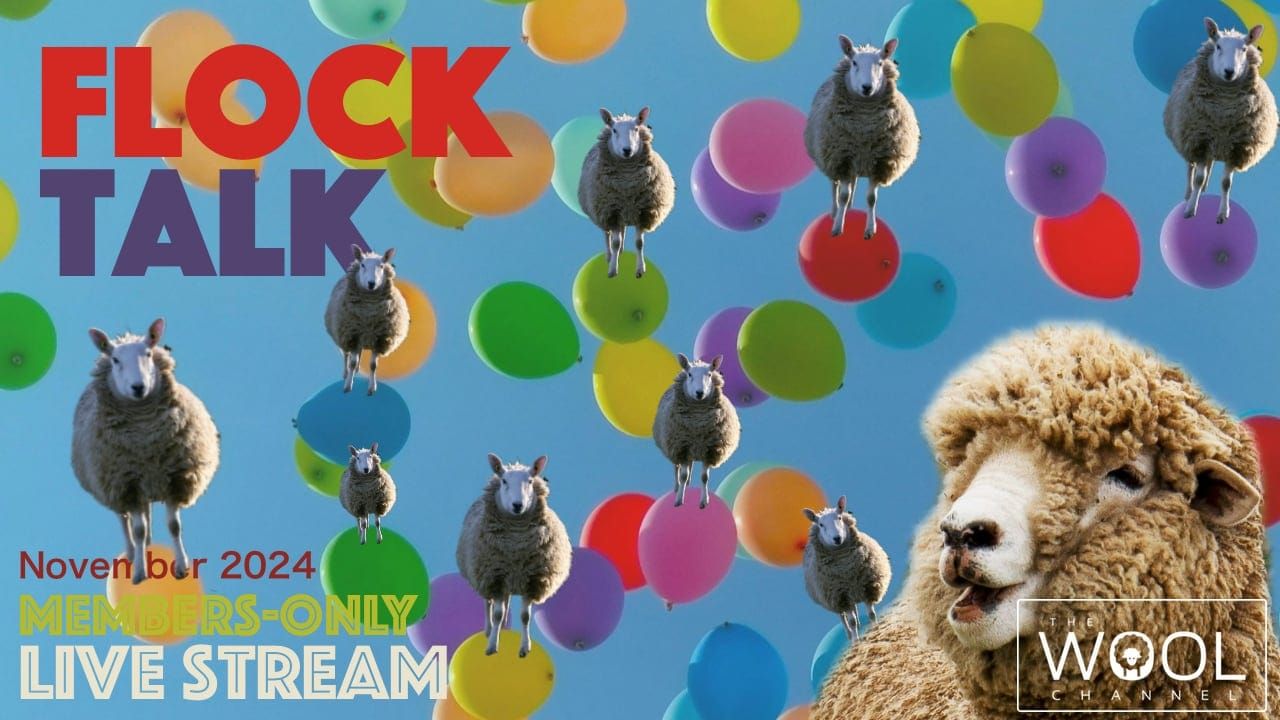 Flock Talk in One Hour!