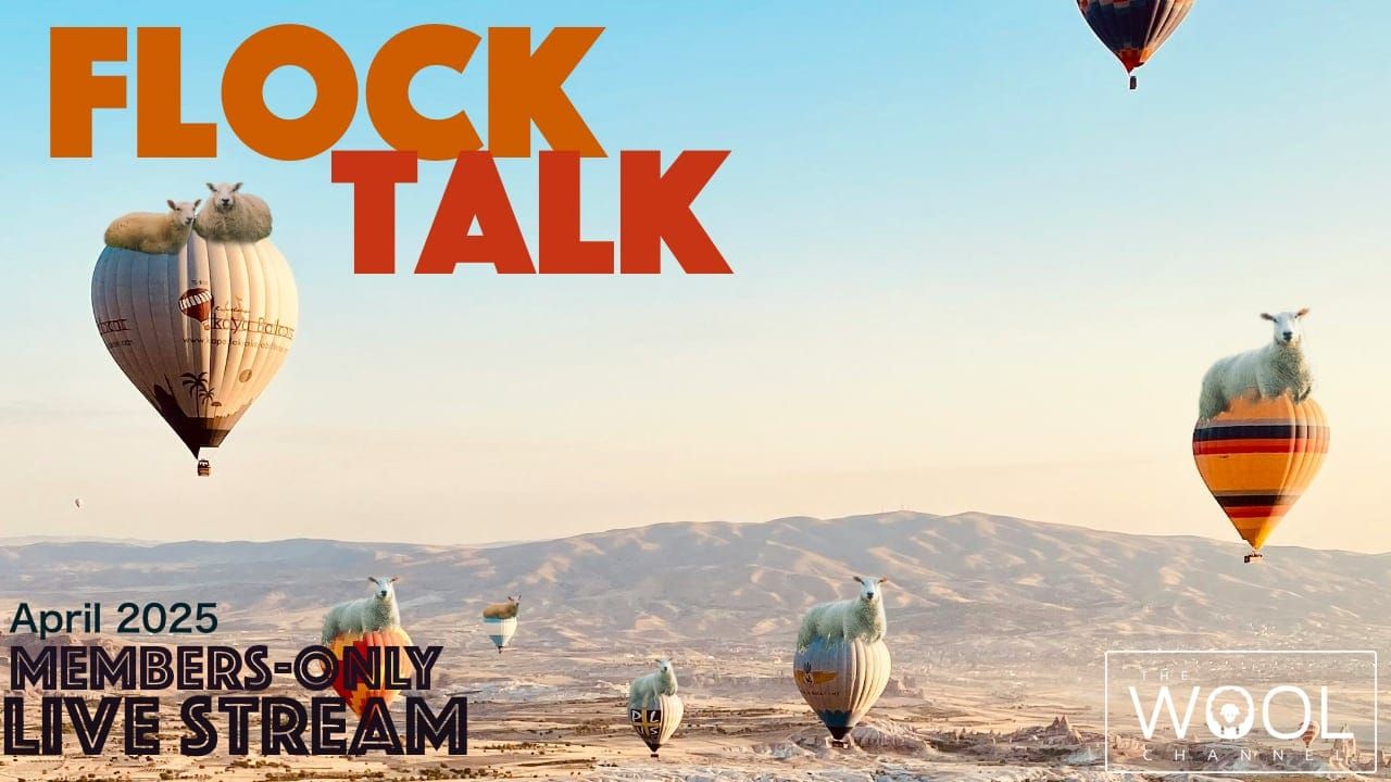 One hour until Flock Talk!