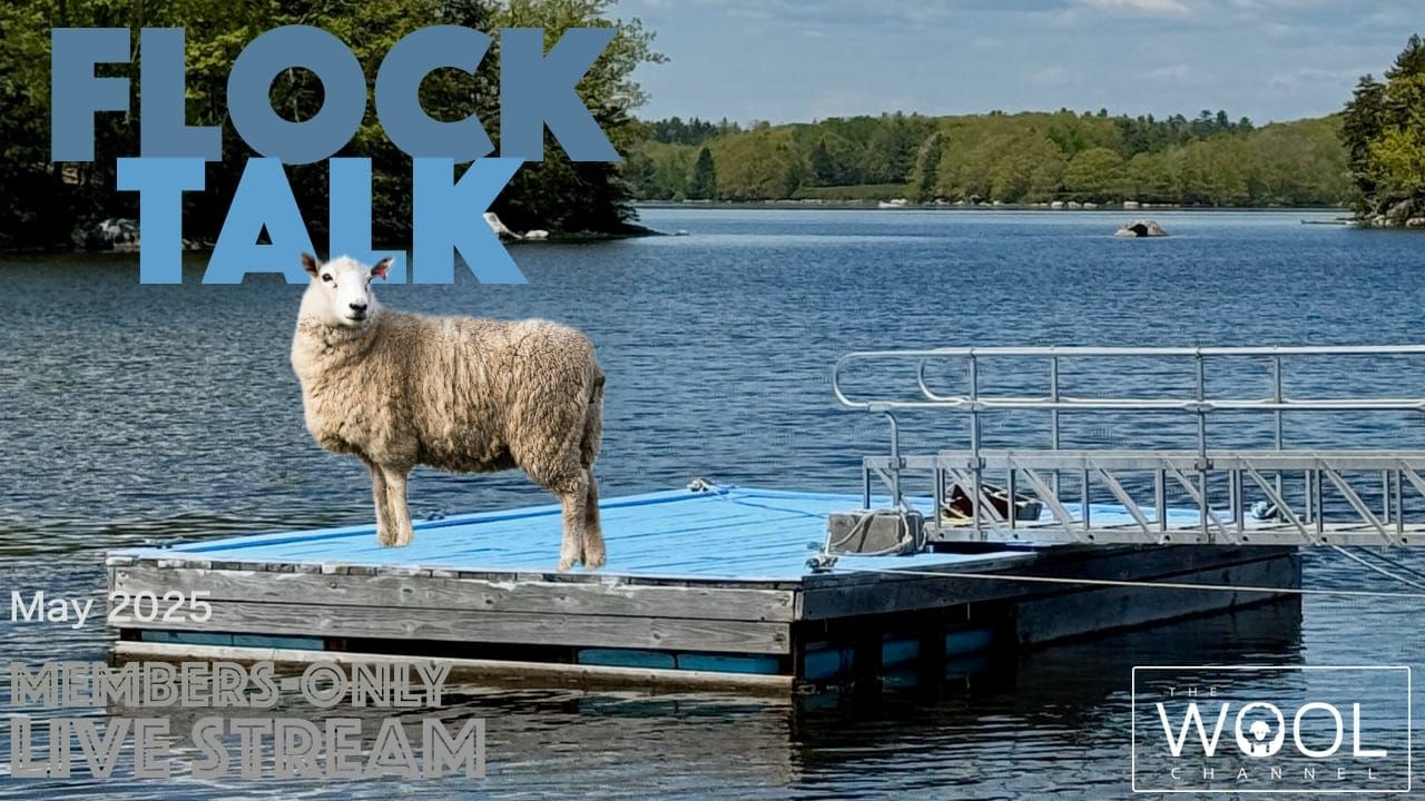 Flock Talk in one hour!