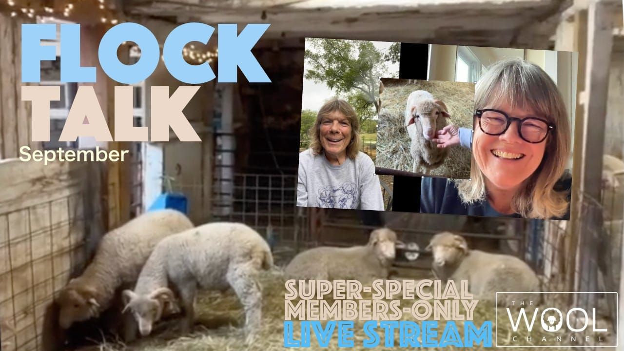 An extra special Flock Talk!
