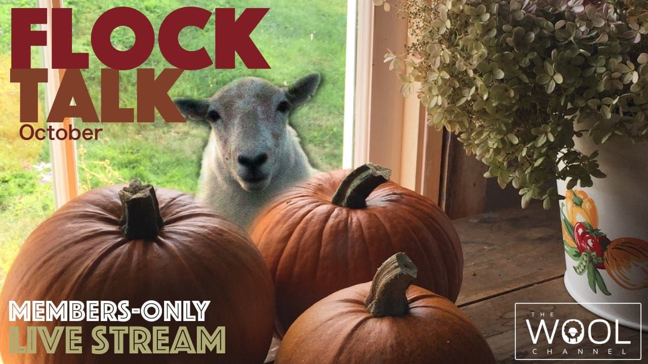 Flock Talk begins in one hour!