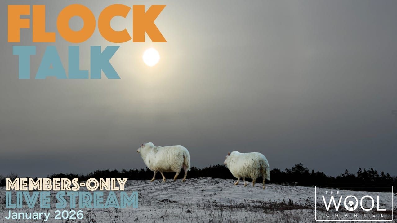 Flock Talk on Saturday