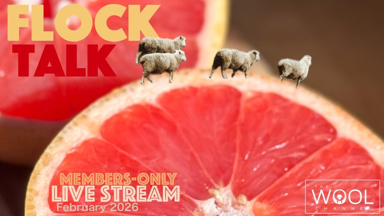 Flock Talk on Saturday