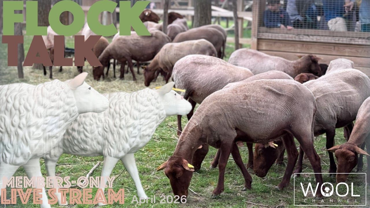 Flock Talk This Saturday!