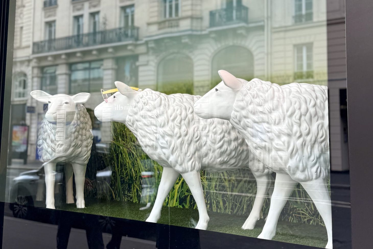 The Wool Wire |April 16, 2026