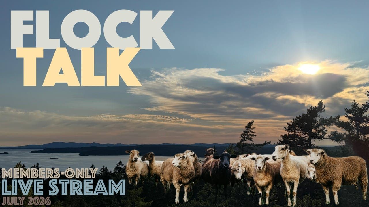 Flock Talk on Friday!